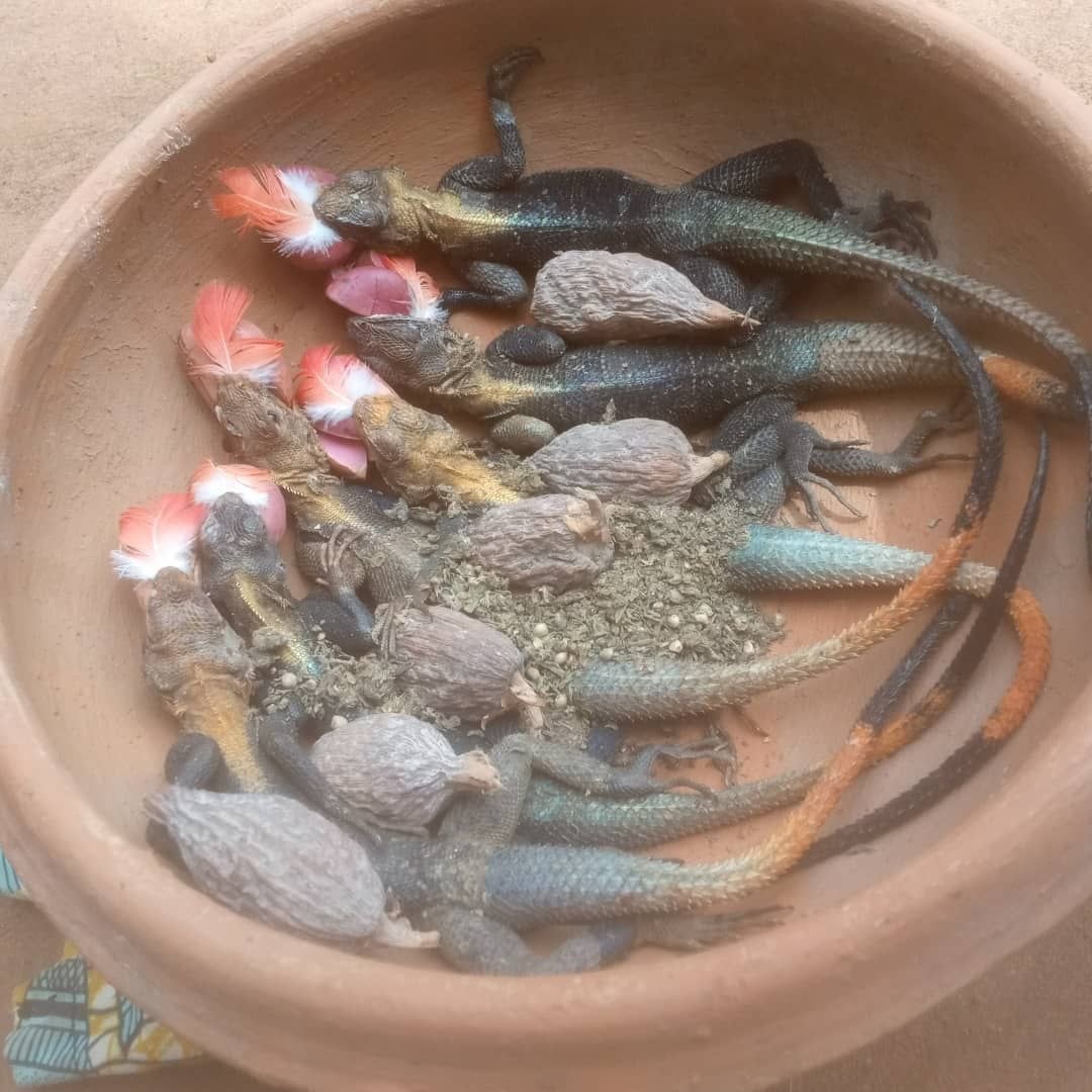 Image 48